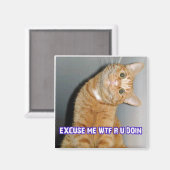 CAT WTF MAGNEET (Voorkant / Achterkant)
