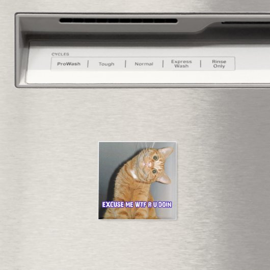 CAT WTF MAGNEET (Insitu (Vaatwasser))