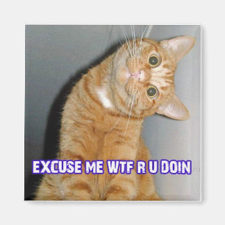 CAT WTF MAGNEET