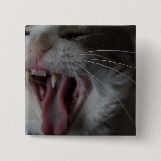 Cat Yawning Vierkante Button 5,1 Cm (Voorkant)