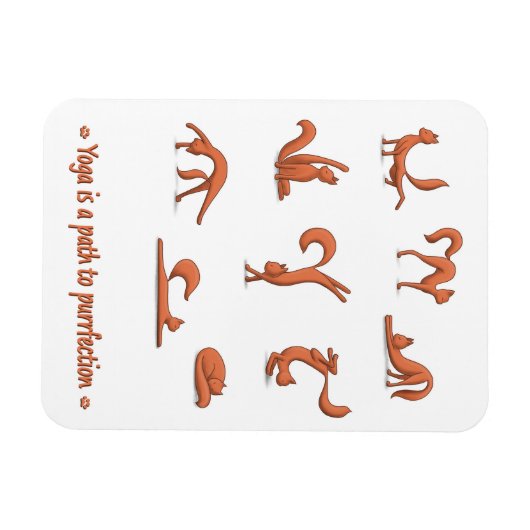 Cat Yoga Magneet (Horizontaal)