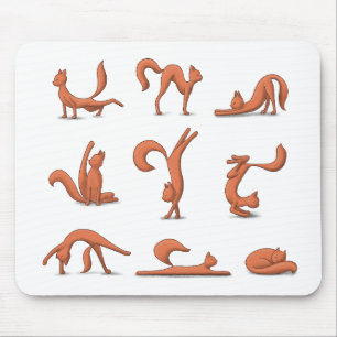 Cat Yoga Muismat