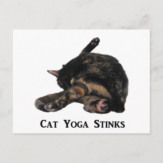 Cat Yoga Stinks Briefkaart (Voorkant)