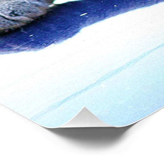 Cat Zen Master Perfect Poster (Hoek)