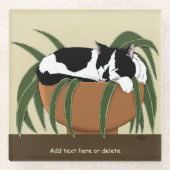 Cat Zwart Wit Plant Grappig Glazen Onderzetter (Voorkant)