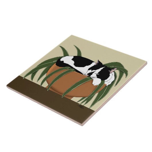 Cat Zwart Wit Plant Grappig Tegeltje (Zijkant)
