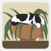 Cat Zwart Wit Plant Grappig Vierkante Sticker (Voorkant)