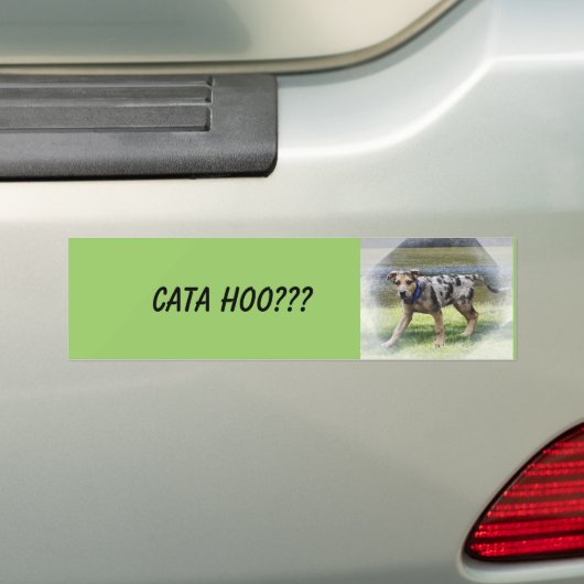 CATA HOO??? Bumpersticker (Op auto)