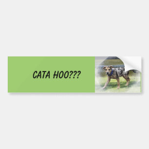 CATA HOO??? Bumpersticker