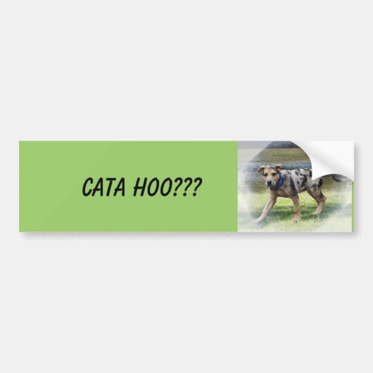 CATA HOO??? Bumpersticker (Voorkant)