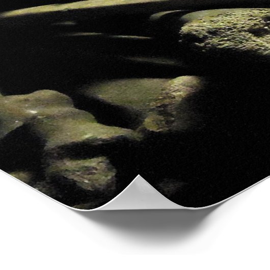 catacombe botten poster (Hoek)