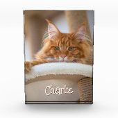 Catafbeelding met verticale portretfoto Cute lette Fotoblokken (Voorkant)