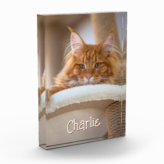 Catafbeelding met verticale portretfoto Cute lette Fotoblokken (Links)