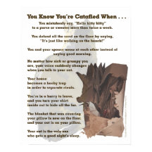 Catafied. Alleen een kattenliefhebber zou het begr