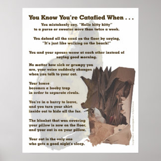Catafied. Alleen een kattenliefhebber zou het begr Poster