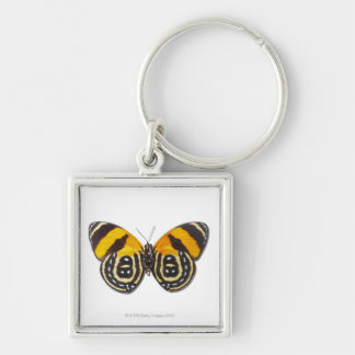 Catagramma cynosura sleutelhanger