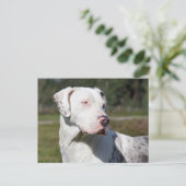 catahoula briefkaart (Staand voorkant)