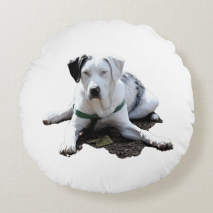 Catahoula Cur Laying Down Rond Kussen