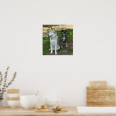 Catahoula en Ausky Dog Friendship Poster (Keuken)