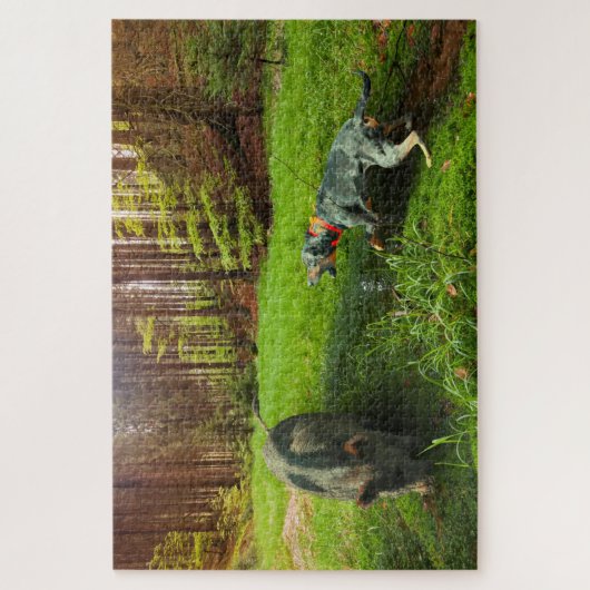 Catahoula en Hog Legpuzzel (Verticaal)