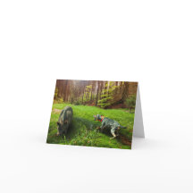 Catahoula en Wild Hog Wenskaart