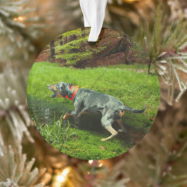 Catahoula en wilde zwijnen ornament