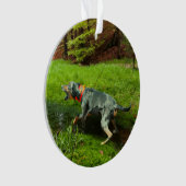 Catahoula en wilde zwijnen ornament (voorkant)