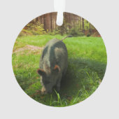 Catahoula en wilde zwijnen ornament (achterkant)