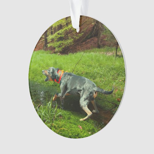 Catahoula en wilde zwijnen ornament (voorkant)