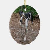 Catahoula Kerstmis Keramisch Ornament (Rechts)