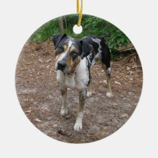 Catahoula Kerstmis Keramisch Ornament
