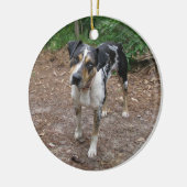 Catahoula Kerstmis Keramisch Ornament (Links)