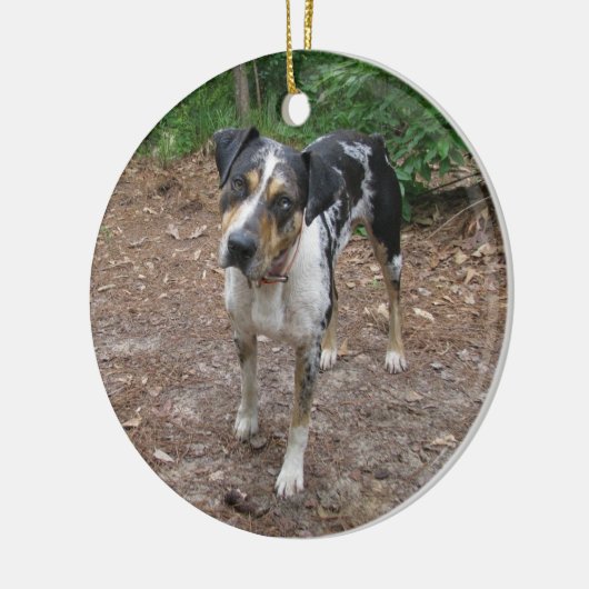 Catahoula Kerstmis Keramisch Ornament (Links)