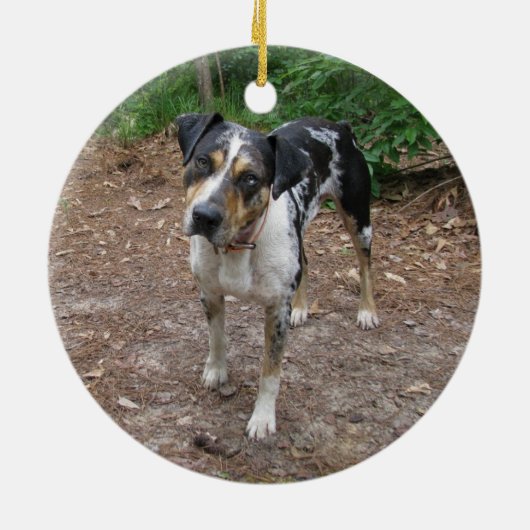 Catahoula Kerstmis Keramisch Ornament (Achterkant)