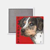 Catahoula-kleurenblok Magneet (Voorkant / Achterkant)