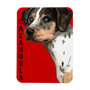 Catahoula-kleurenblok Magneet