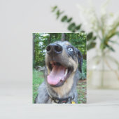 Catahoula Leopard Dog Face Briefkaart (Staand voorkant)