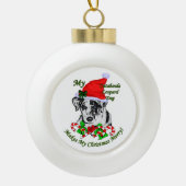 Catahoula Leopard Dog Kerstmis Keramische Bal Ornament (Voorkant)