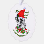 Catahoula Leopard Dog Kerstmis Ornament Kaart (Links)