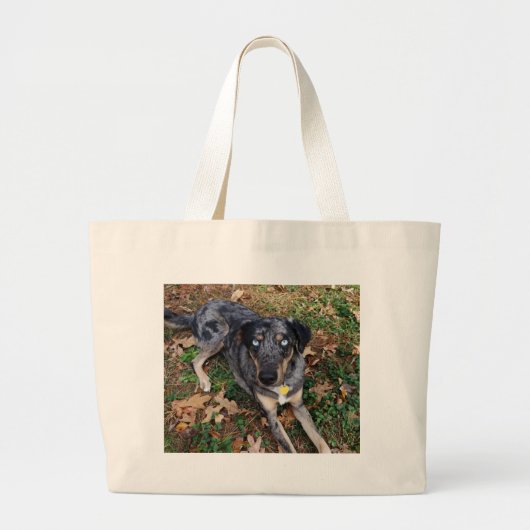 Catahoula Leopard Dog Lading Down Grote Tote Bag (Voorkant)