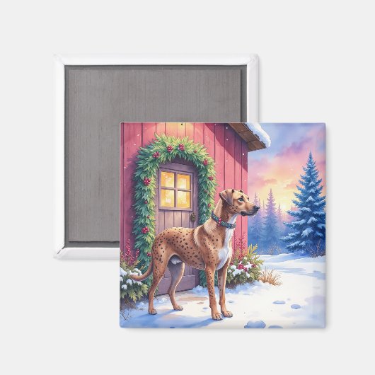Catahoula Leopard Dog Rustic Barn Christmas Art Magneet (Voorkant / Achterkant)