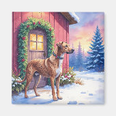 Catahoula Leopard Dog Rustic Barn Christmas Art Magneet (Voorkant)