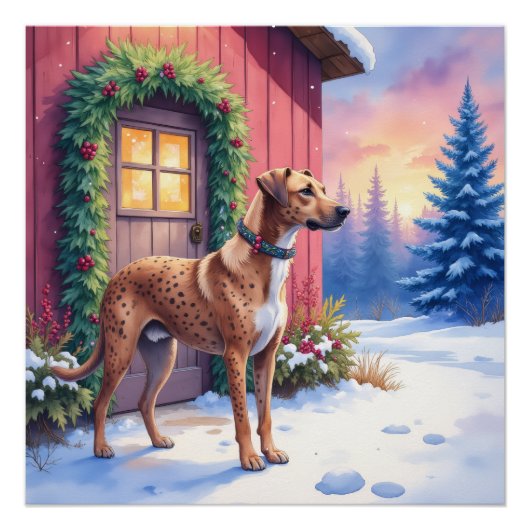Catahoula Leopard Dog Rustic Barn Christmas Art Perfect Poster (Voorkant)