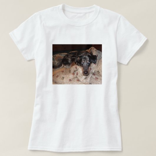 Catahoula Leopard Dog Snoozing T-shirt (Design voorkant)