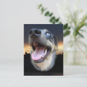 Catahoula Leopard Dog Sunset Briefkaart (Staand voorkant)