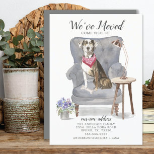 Catahoula Leopard Dog   Verplaatsingsaankondiging Aankondiging