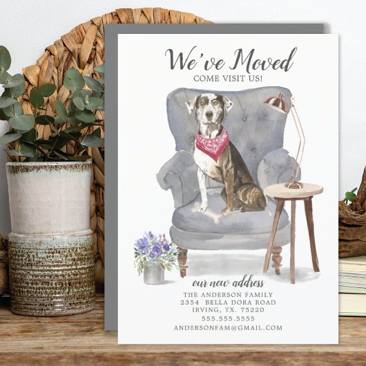 Catahoula Leopard Dog | Verplaatsingsaankondiging Aankondiging