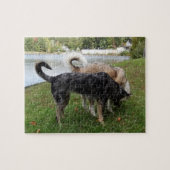 Catahoula Leopard Hond en Ausky Hond Snuiven Legpuzzel (Horizontaal)