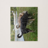 Catahoula Leopard Hond en Ausky Hond Snuiven Legpuzzel (Verticaal)