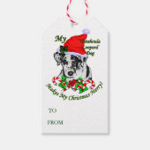 Catahoula Leopard Hond Kerstcadeau Tags Cadeaulabel (Voorkant)